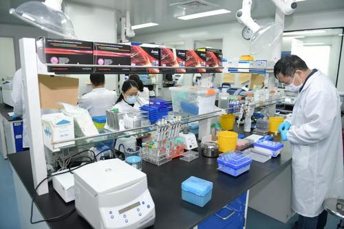 上海科技黨建全力以赴 爭分奪秒加強科技攻關